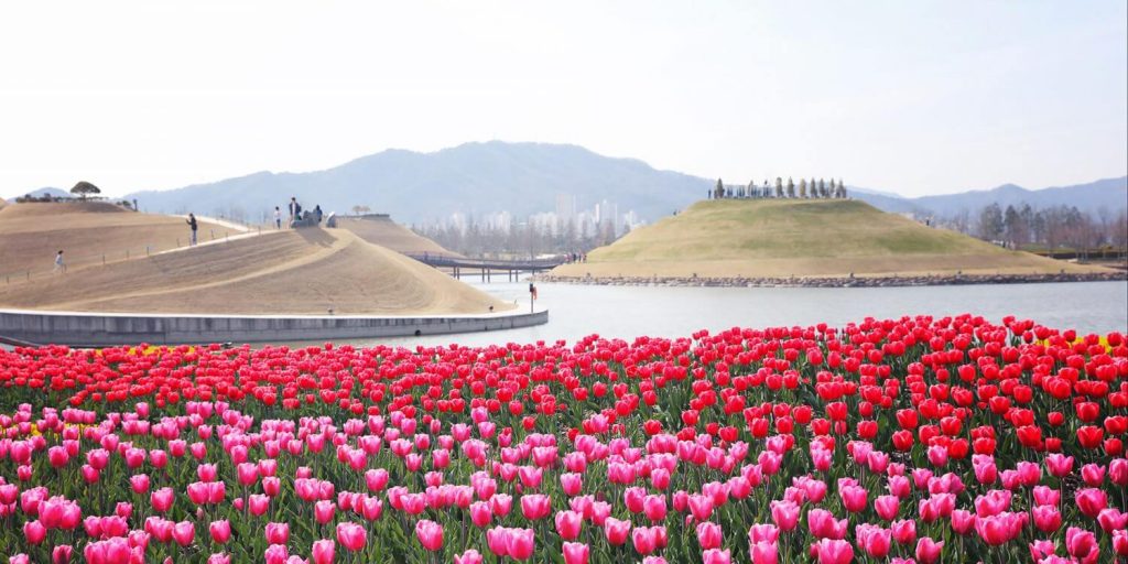 결연시 순천만 국가정원