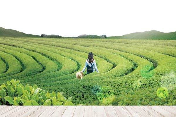 결연시 혼자가기 좋은 국내여행지 BEST