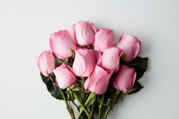 웨딩부케 종류와 꽃말